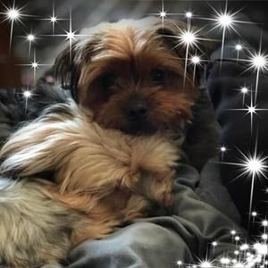 Meet your Posher, Scott